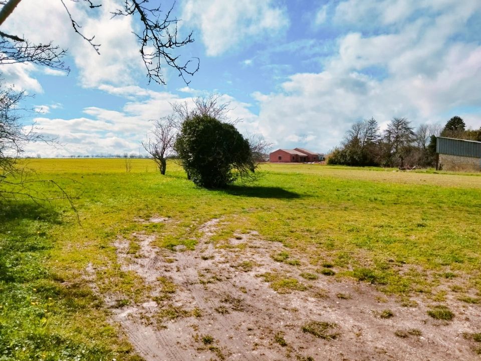 Helårsgrund i Yversay, Vienne - foto 3