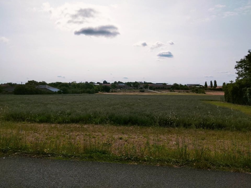 Helårsgrund i Champigny-le-Sec, Vienne - foto 3