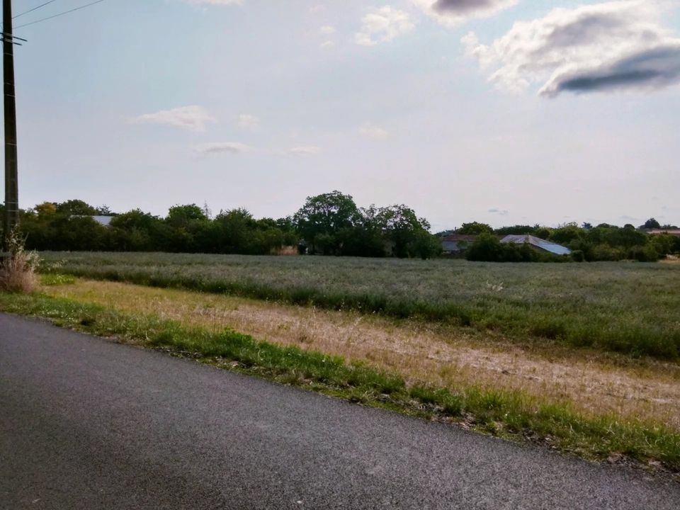 Helårsgrund i Champigny-le-Sec, Vienne - foto 4