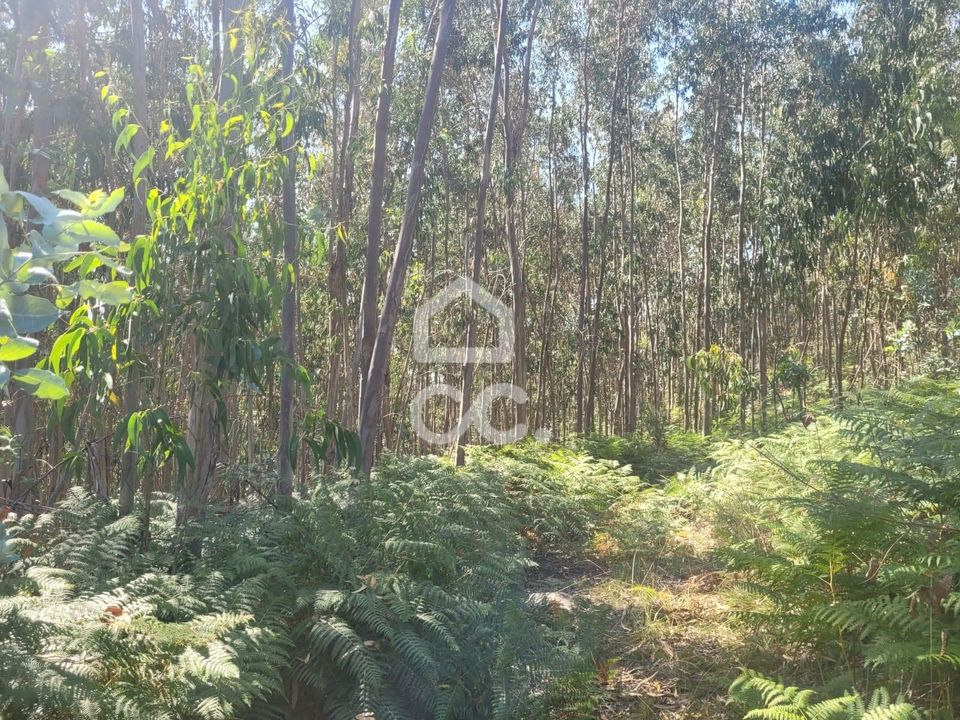 Helårsgrund i Guimaraes, Braga - foto 1
