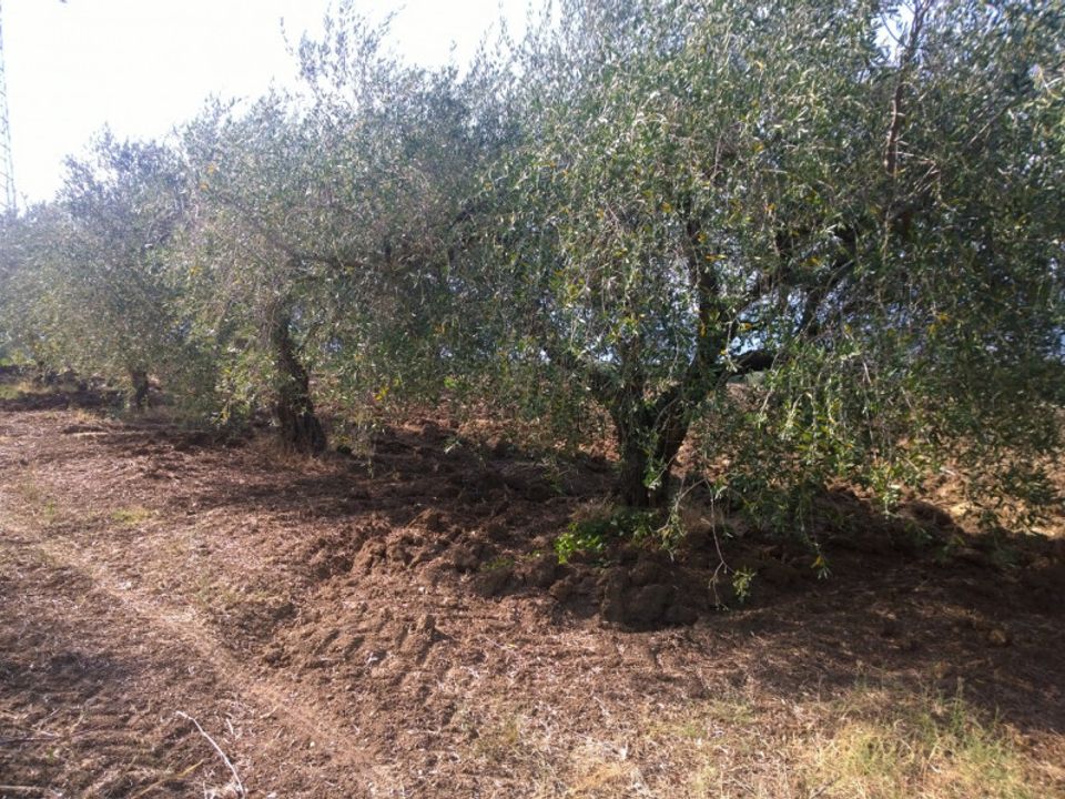 Helårsgrund i Serre, Salerno - foto 2