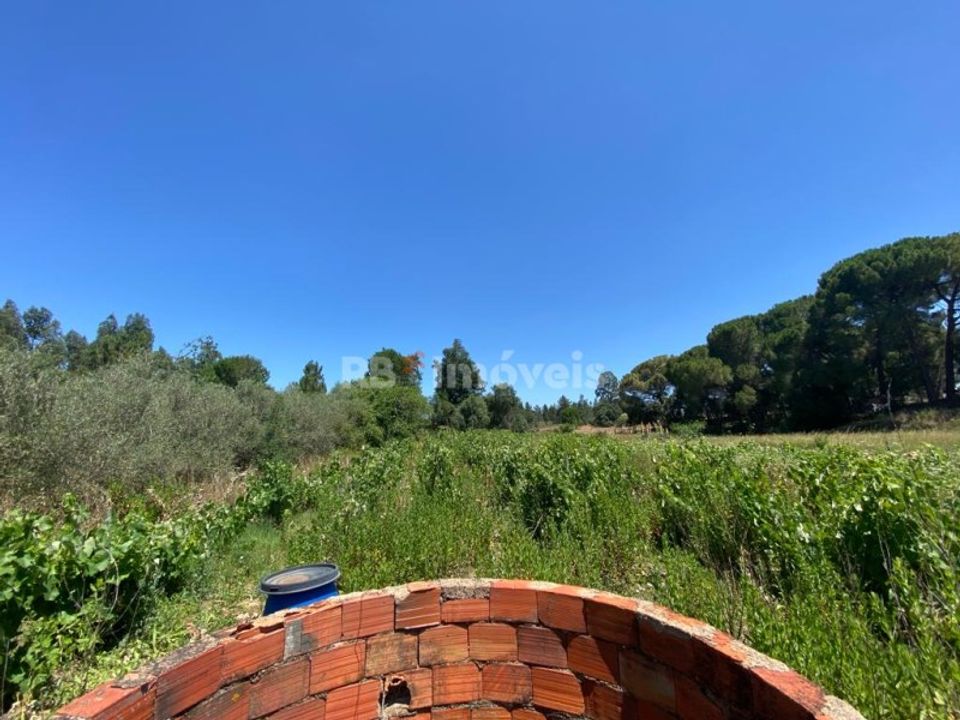 Helårsgrund i Tomar, Santarem - foto 4