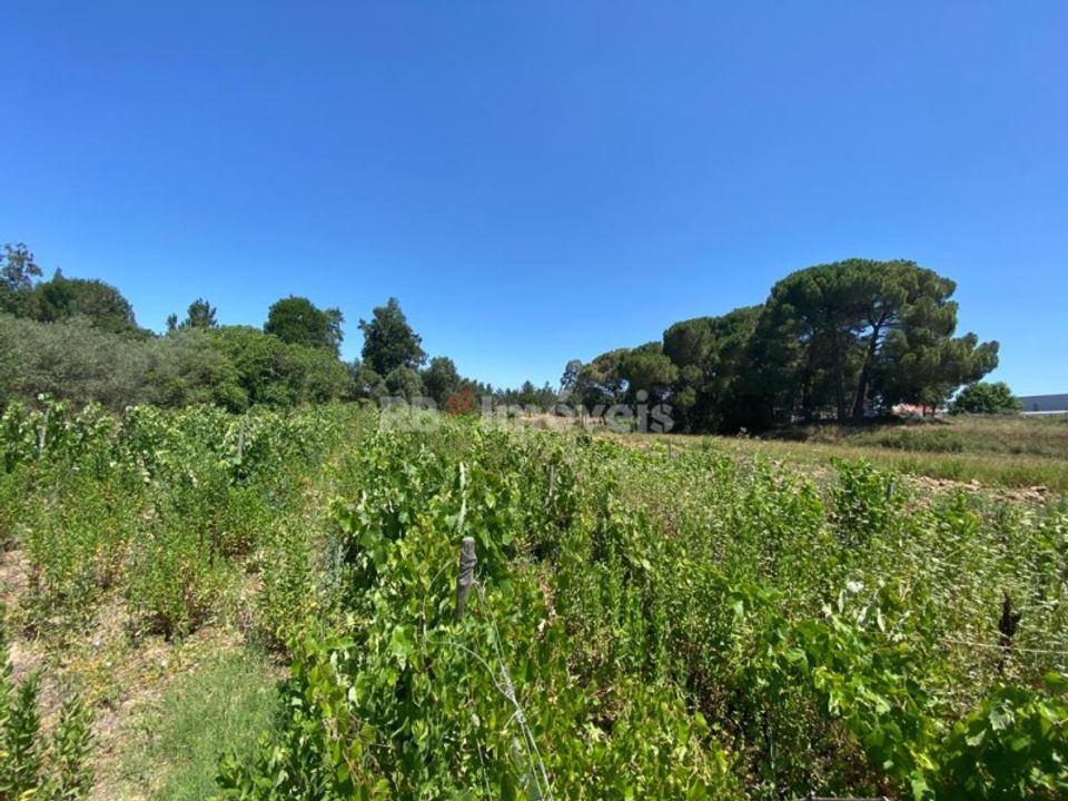 Helårsgrund i Tomar, Santarem - foto 3