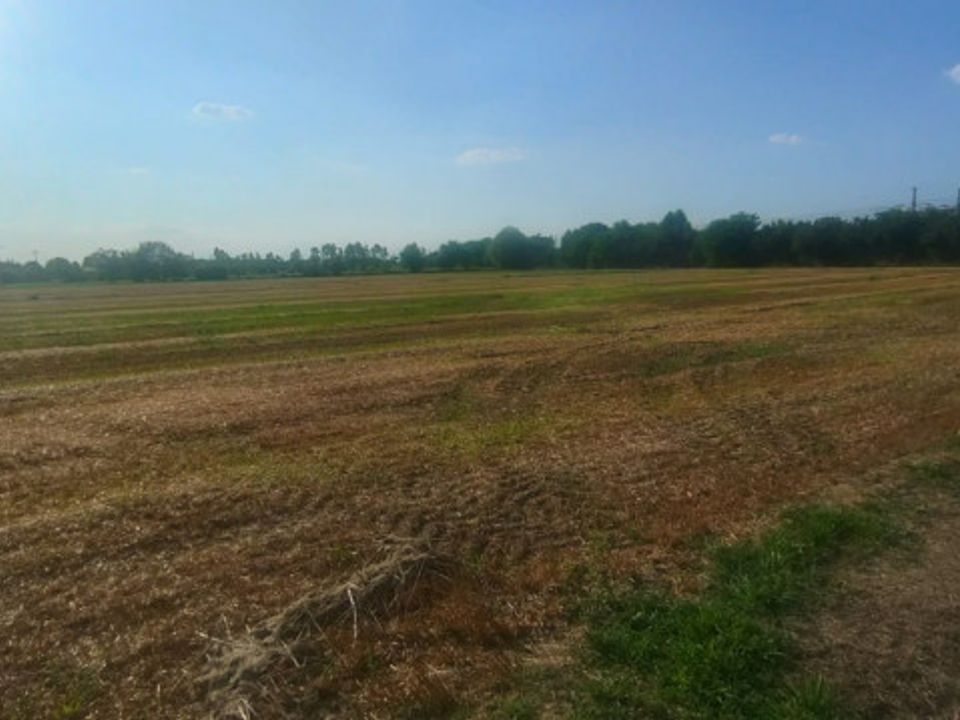 Tomt i Rubano, Padua - bilde 2