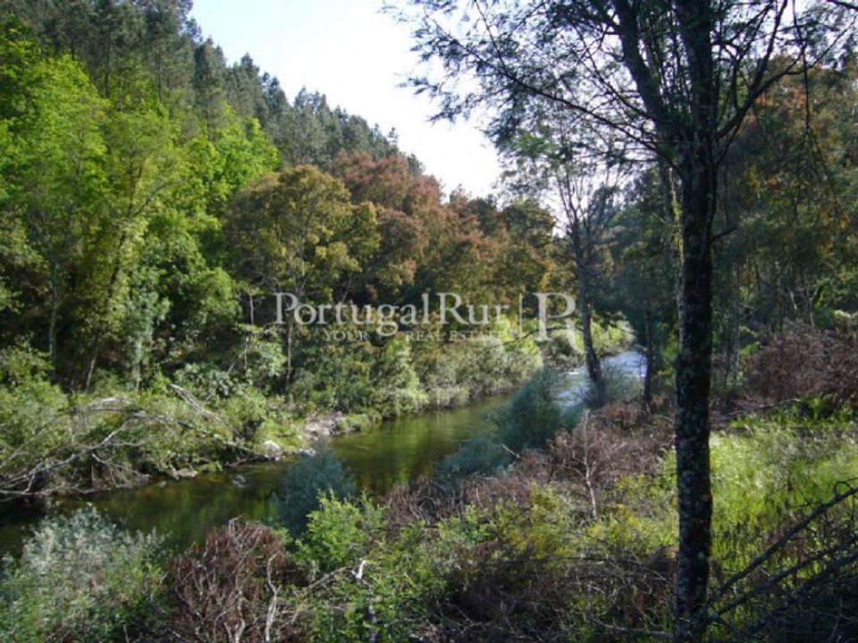 Farm i Oliveira do Hospital, Coimbra - foto 1