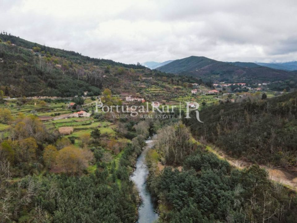 Farm i Oliveira do Hospital, Coimbra - foto 3