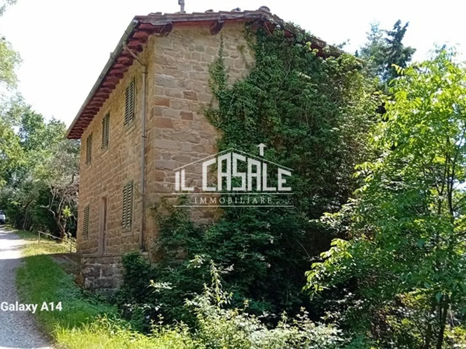 Villa i Pelago, Florence - foto 3