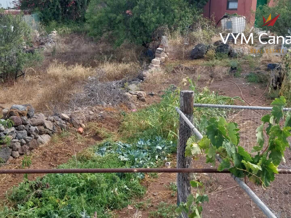 Tomt i Tamaimo, Tenerife - bilde 4
