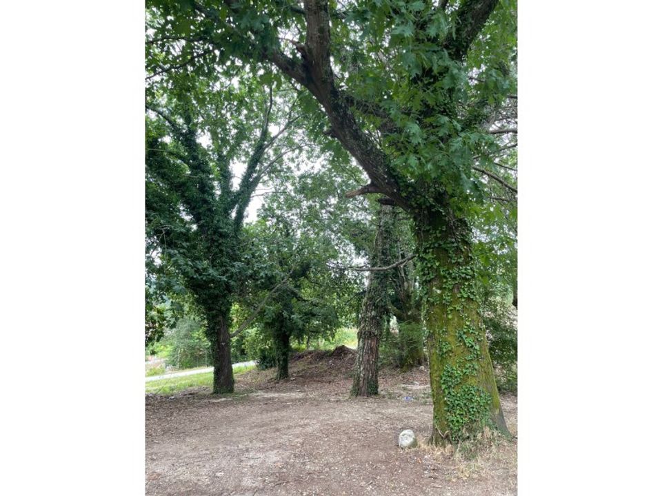 Farm i Tabuadelo e Sao Faustino, Braga - foto 2
