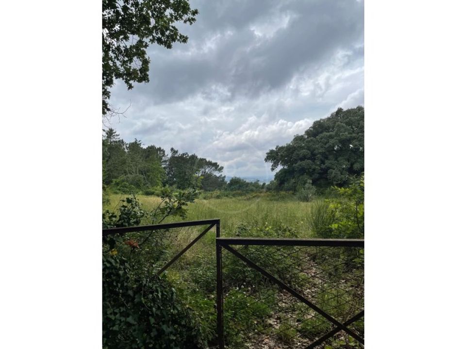 Farm i Tabuadelo e Sao Faustino, Braga - foto 4