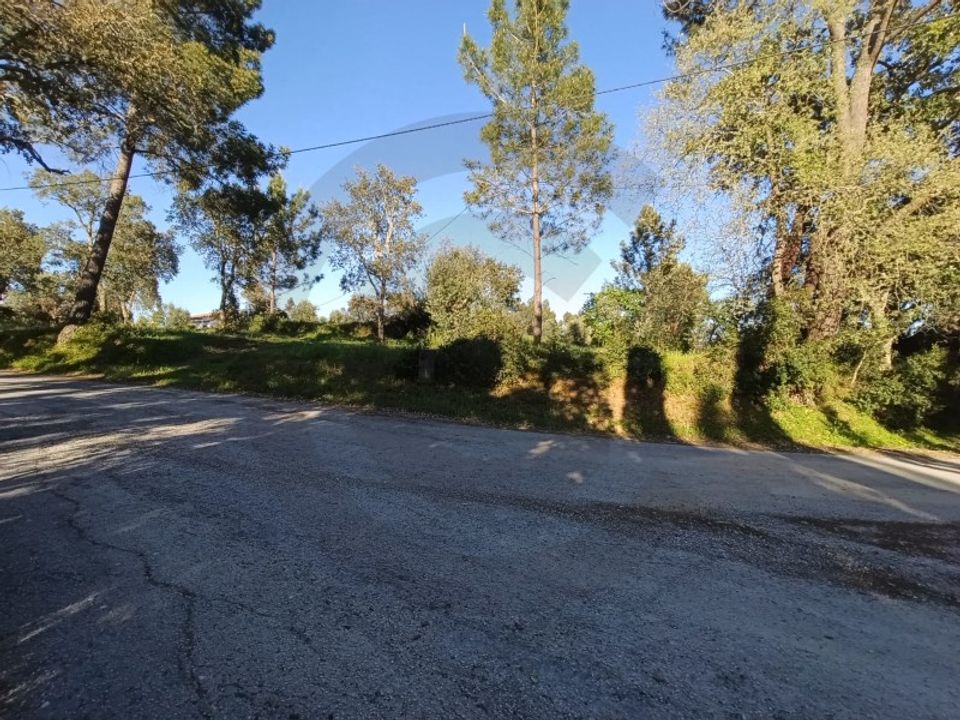 Helårsgrund i Torres Novas, Santarem - foto 2