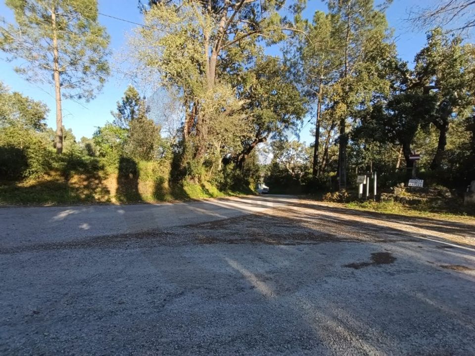 Helårsgrund i Torres Novas, Santarem - foto 3