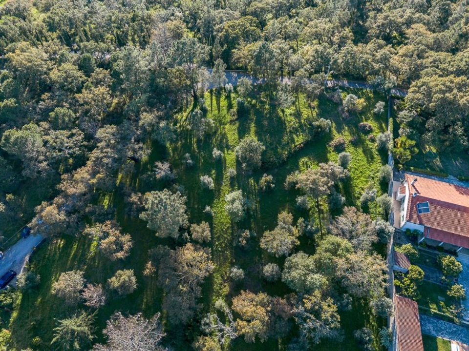 Helårsgrund i Torres Novas, Santarem - foto 4
