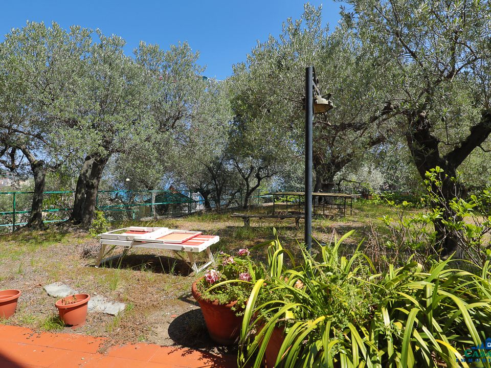 Villa i Varazze, Savona - foto 3