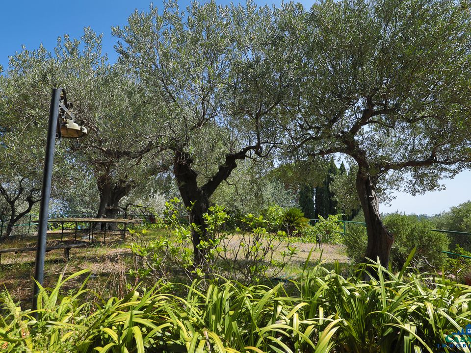 Villa i Varazze, Savona - foto 4