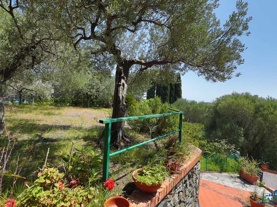Villa i Varazze, Savona - foto 5
