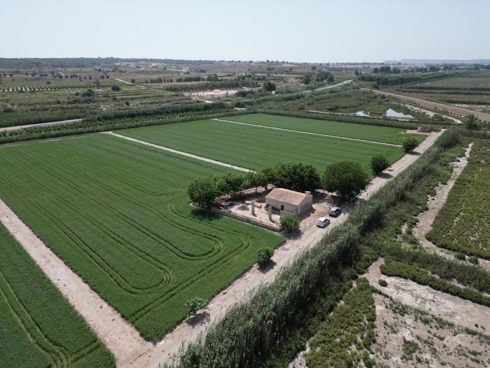 Landejendom i Elche, Alicante - foto 1
