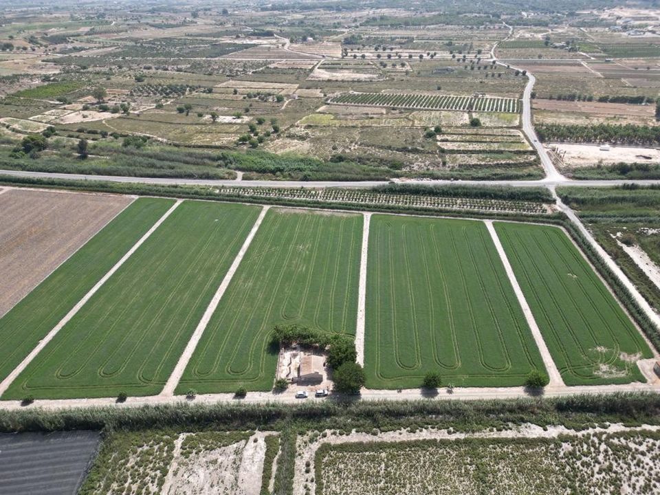 Landejendom i Elche, Alicante - foto 5