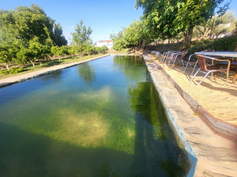 Farm i Vila Vicosa, Evora - foto 1