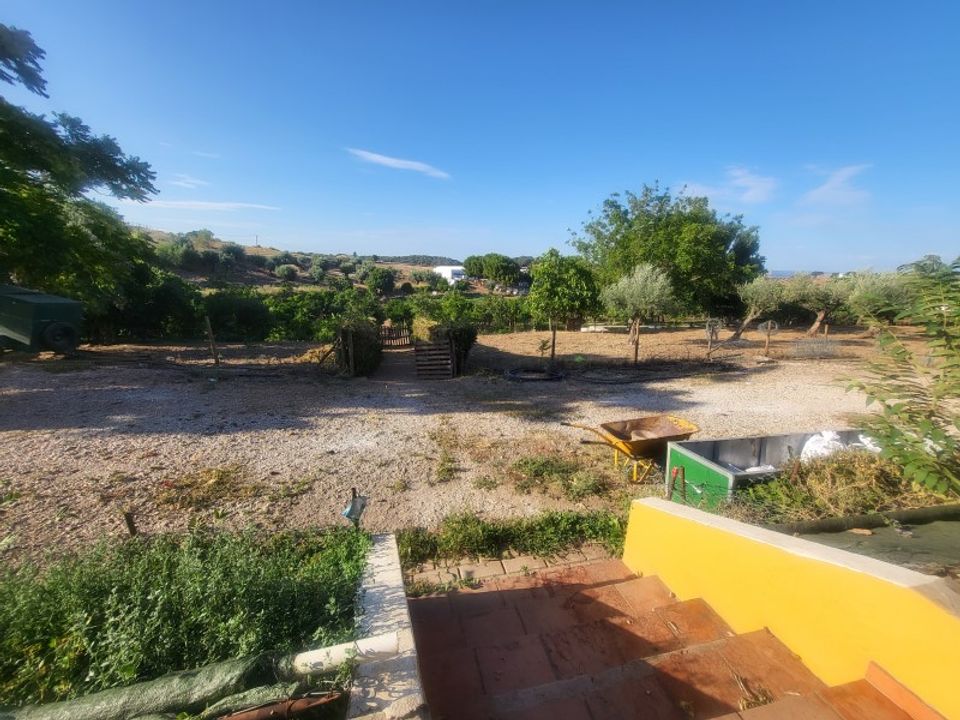 Farm i Vila Vicosa, Evora - foto 3