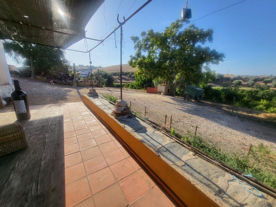 Farm i Vila Vicosa, Evora - foto 4