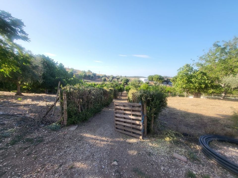Farm i Vila Vicosa, Evora - foto 5