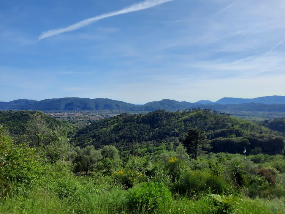 Villa i Sarzana, La Spezia - bilde 1