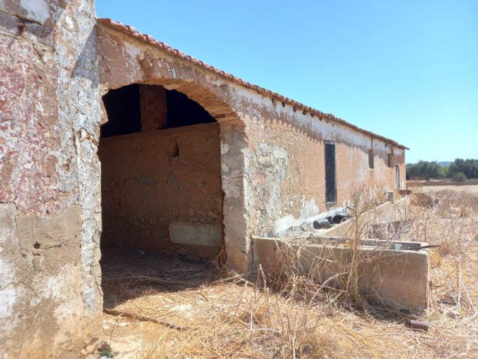 Farm i Budens, Faro - foto 5