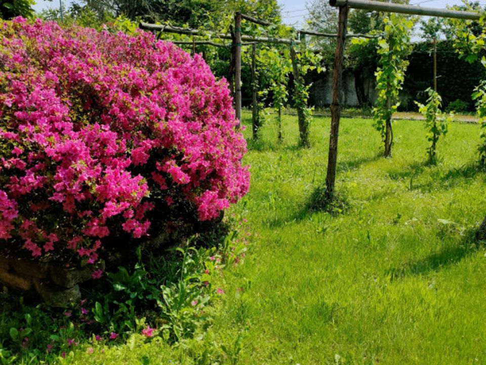 Landejendom i Sedegliano, Udine - foto 5