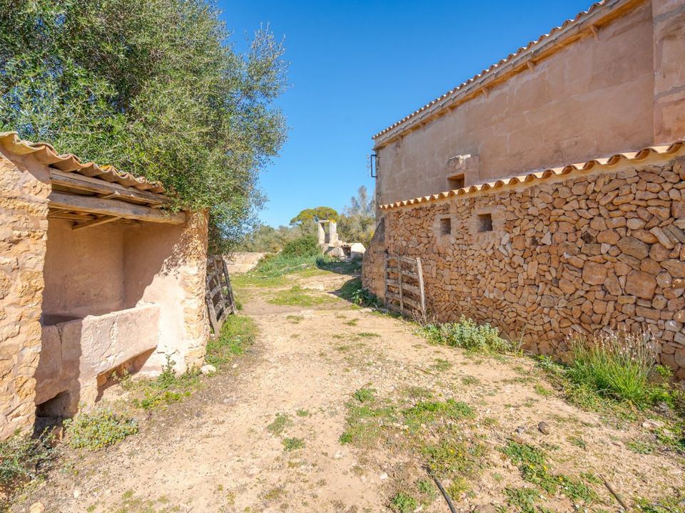Landejendom i Llucmajor, Mallorca - foto 3