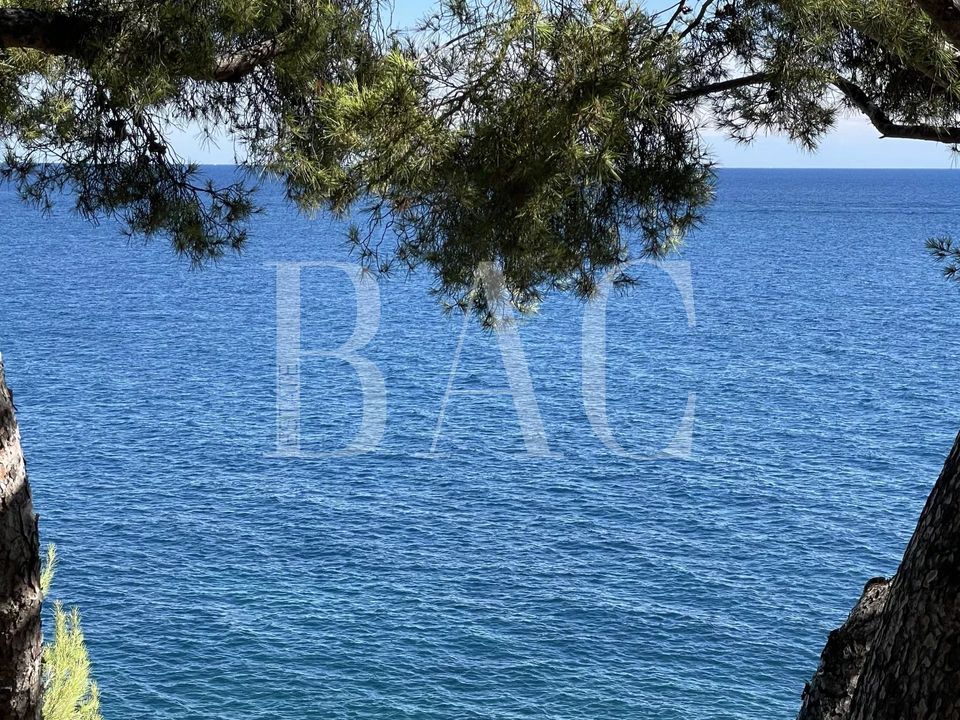 Villa i Roquebrune-Cap-Martin, Alpes-Maritimes - foto 2