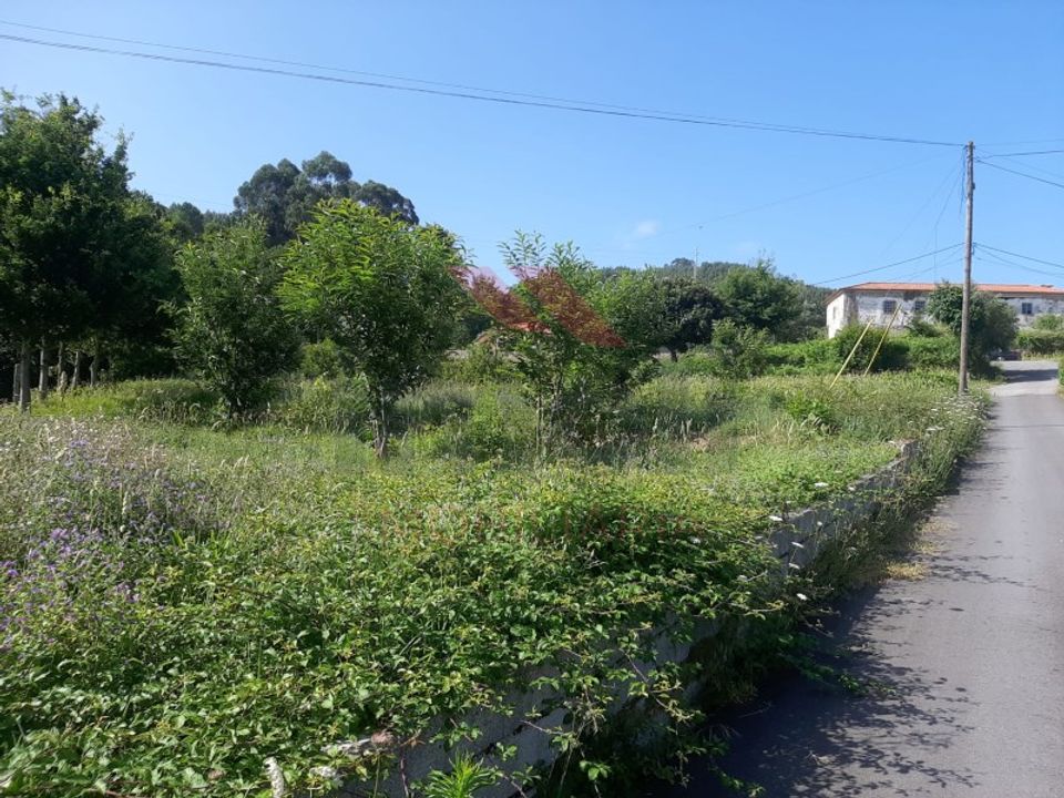 Helårsgrund i Ponte de Lima, Viana do Castelo - foto 1