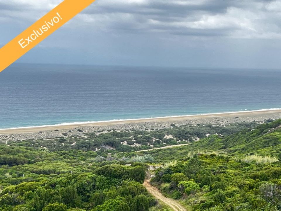 Erhvervsejendom i Nazare, Leiria - foto 1