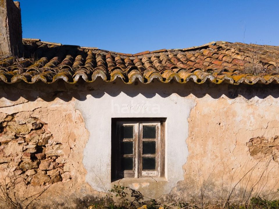Farm i Sines, Setubal - foto 4