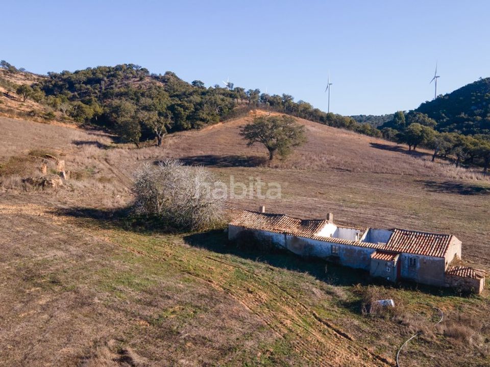Farm i Sines, Setubal - foto 5