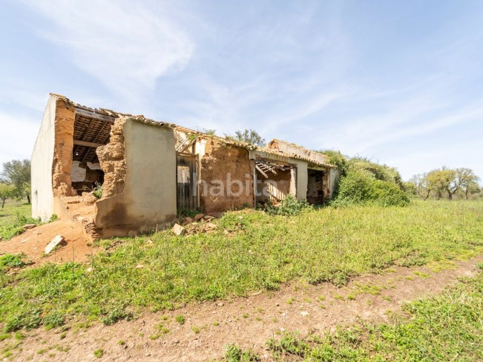 Gård i Cercal do Alentejo, Setubal - bilde 1