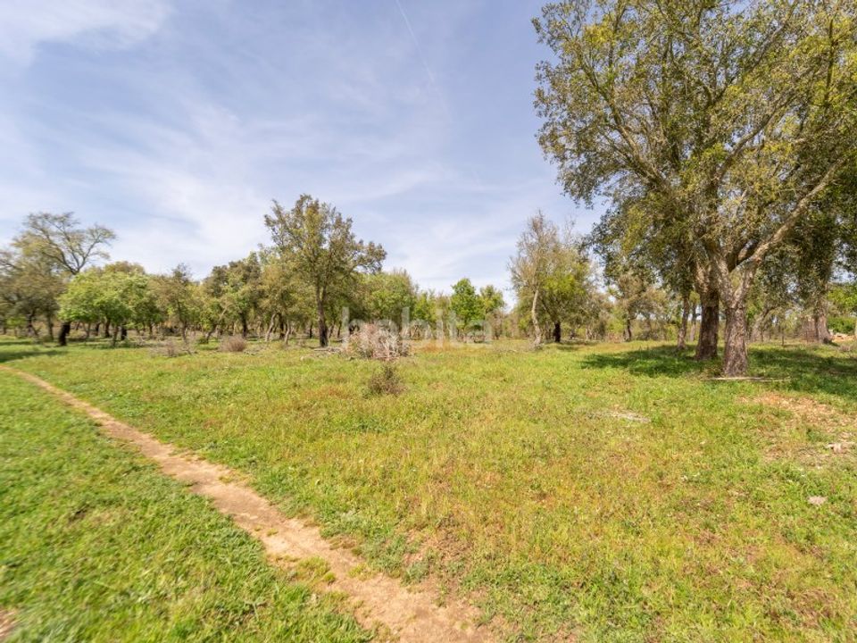 Gård i Cercal do Alentejo, Setubal - bilde 4