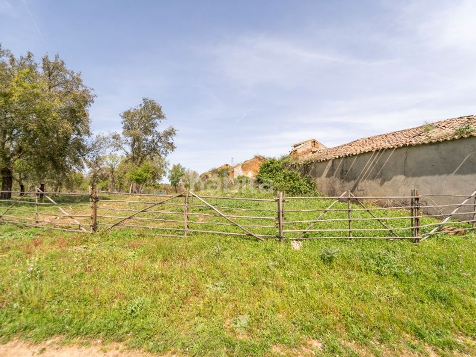 Gård i Cercal do Alentejo, Setubal - bilde 5