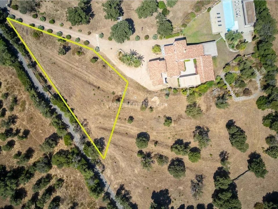 Land in Lumio, Haute-Corse - photo 2