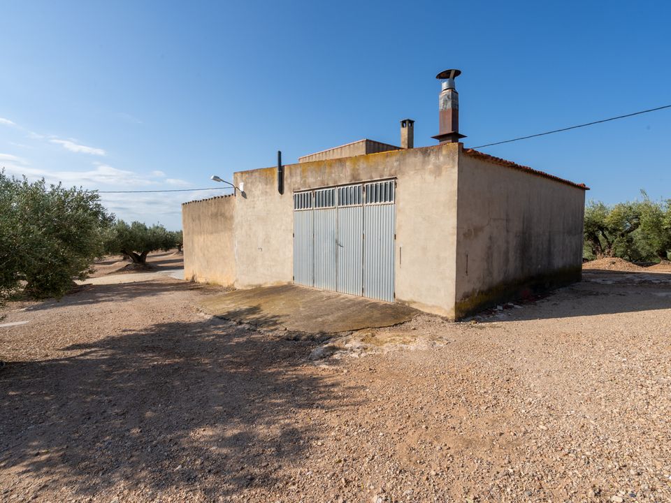 Farm hus i Camarles, Tarragona - foto 3