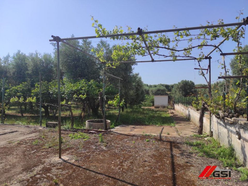 Landejendom i Carovigno, Brindisi - foto 3