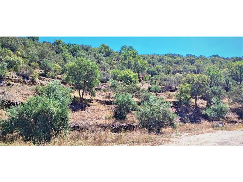 Helårsgrund i Nisa, Portalegre - foto 2