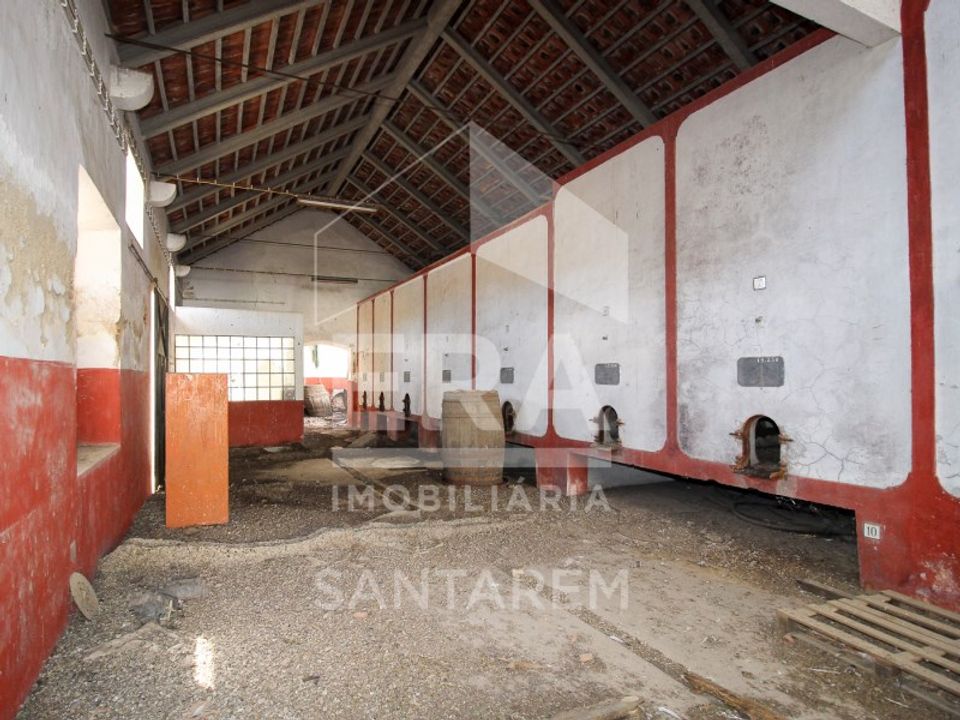 Villa i Alpiarca, Santarem - foto 5