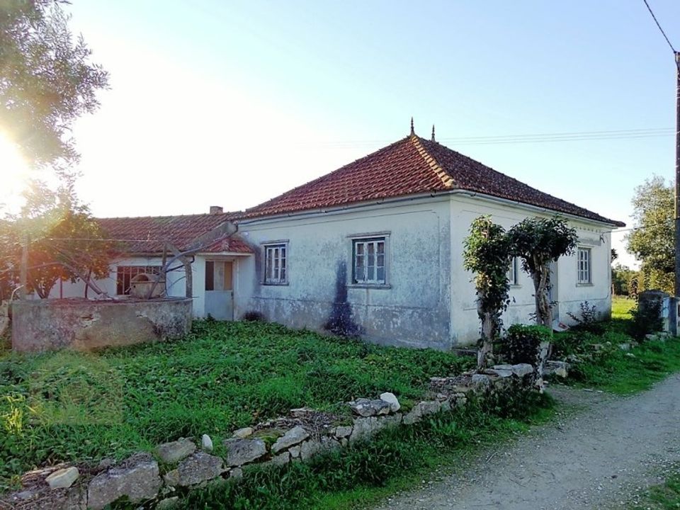 Erhvervsejendom i Aljubarrota, Leiria - foto 1