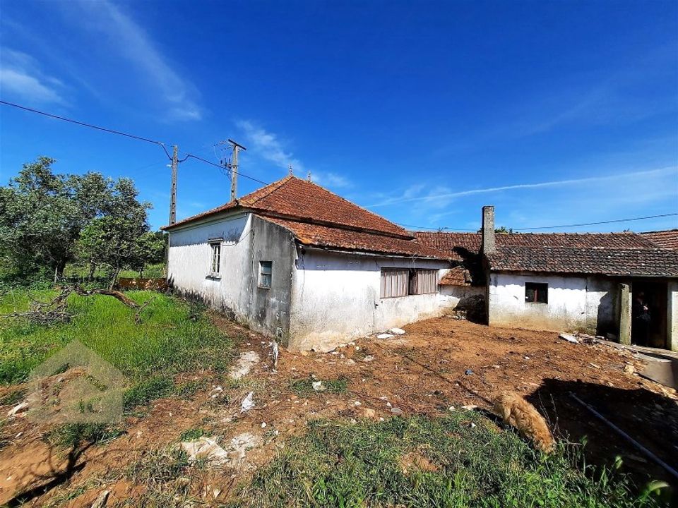 Erhvervsejendom i Aljubarrota, Leiria - foto 2