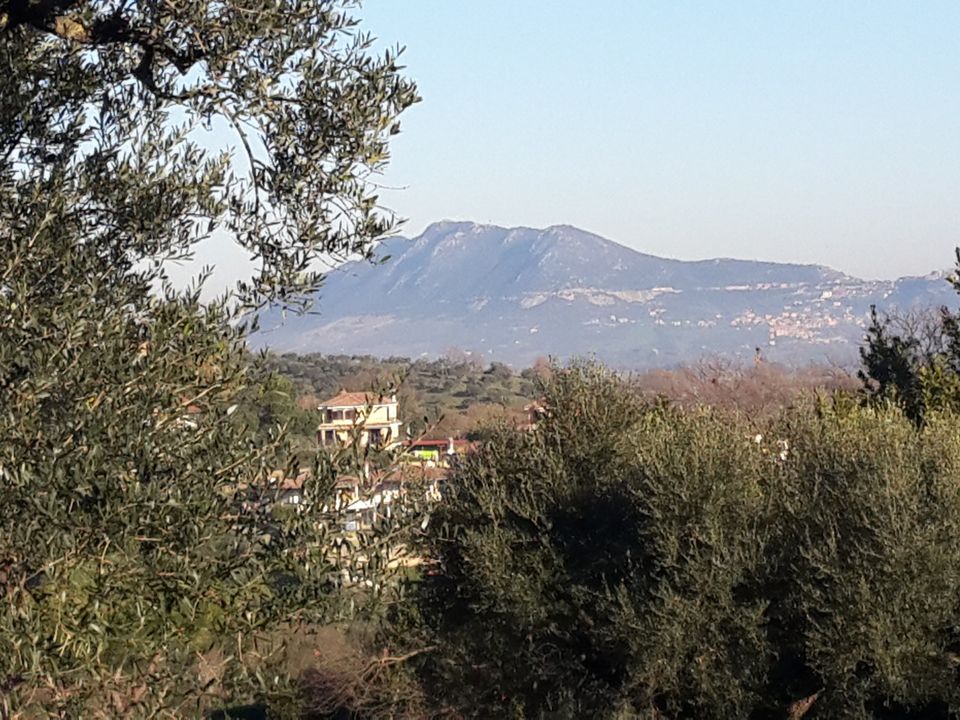 Helårsgrund i Morlupo, Rome - foto 2