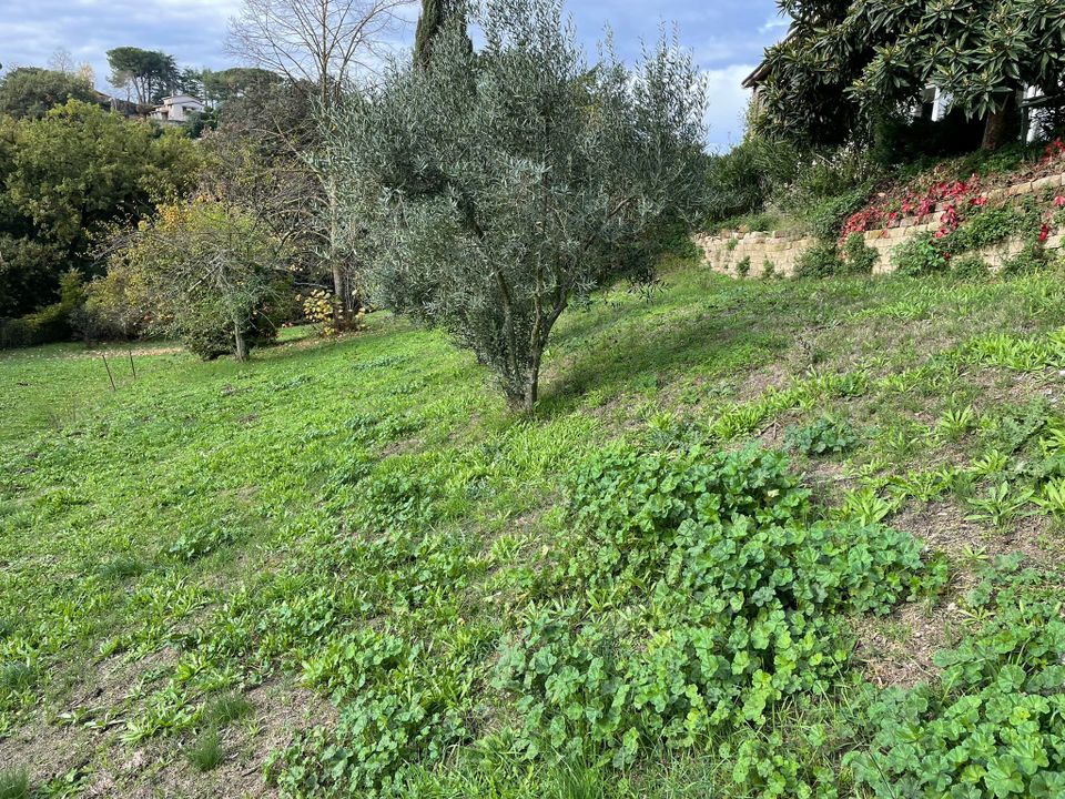 Helårsgrund i Rignano Flaminio, Rome - foto 5