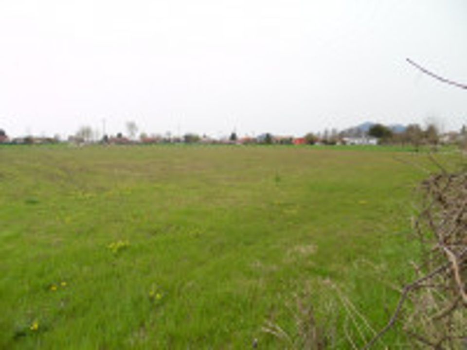 Helårsgrund i Tribano, Padua - foto 1