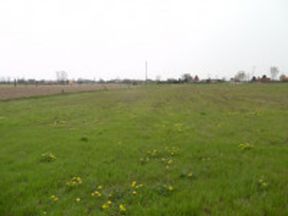 Helårsgrund i Tribano, Padua - foto 2