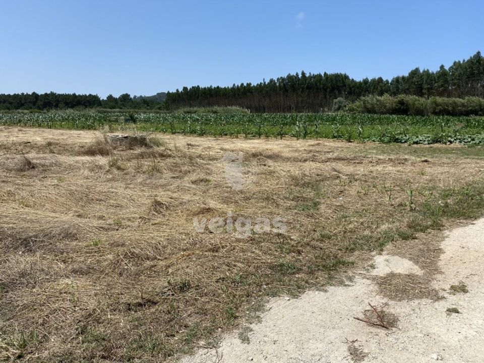 Helårsgrund i Santo Onofre e Serra do Bouro, Leiria - foto 2